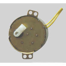 Synchronous Motor (49TDY -A)